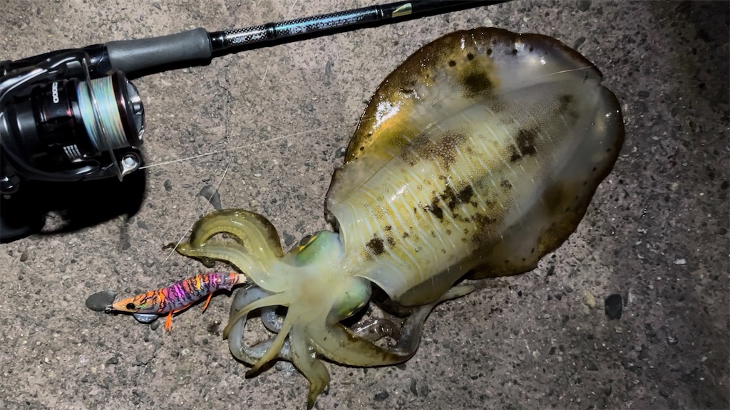 f:id:yasutsuchi2:20211221190319j:image