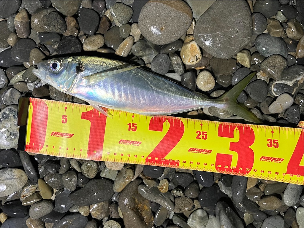 f:id:yasutsuchi2:20211226105834j:image f:id:yasutsuchi2:20211226105834j:image