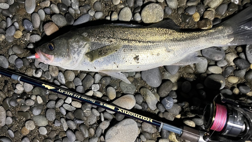 f:id:yasutsuchi2:20220112171319j:image