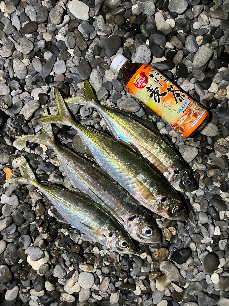 f:id:yasutsuchi2:20220117174913j:image f:id:yasutsuchi2:20220117174913j:image