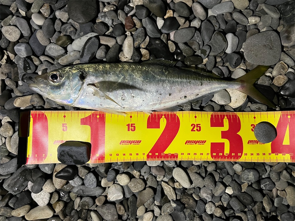 f:id:yasutsuchi2:20220117174924j:image f:id:yasutsuchi2:20220117174924j:image