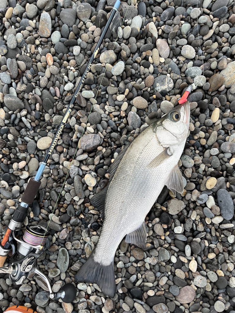 f:id:yasutsuchi2:20220420163337j:image f:id:yasutsuchi2:20220420163337j:image