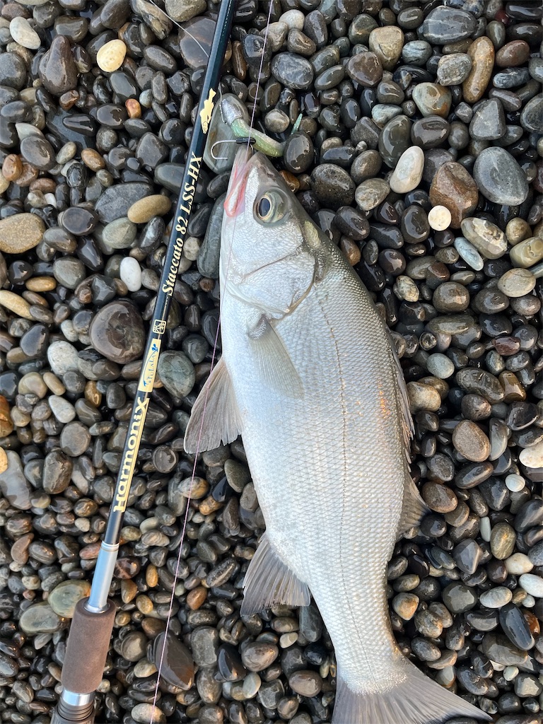 f:id:yasutsuchi2:20220420164952j:image f:id:yasutsuchi2:20220420164952j:image