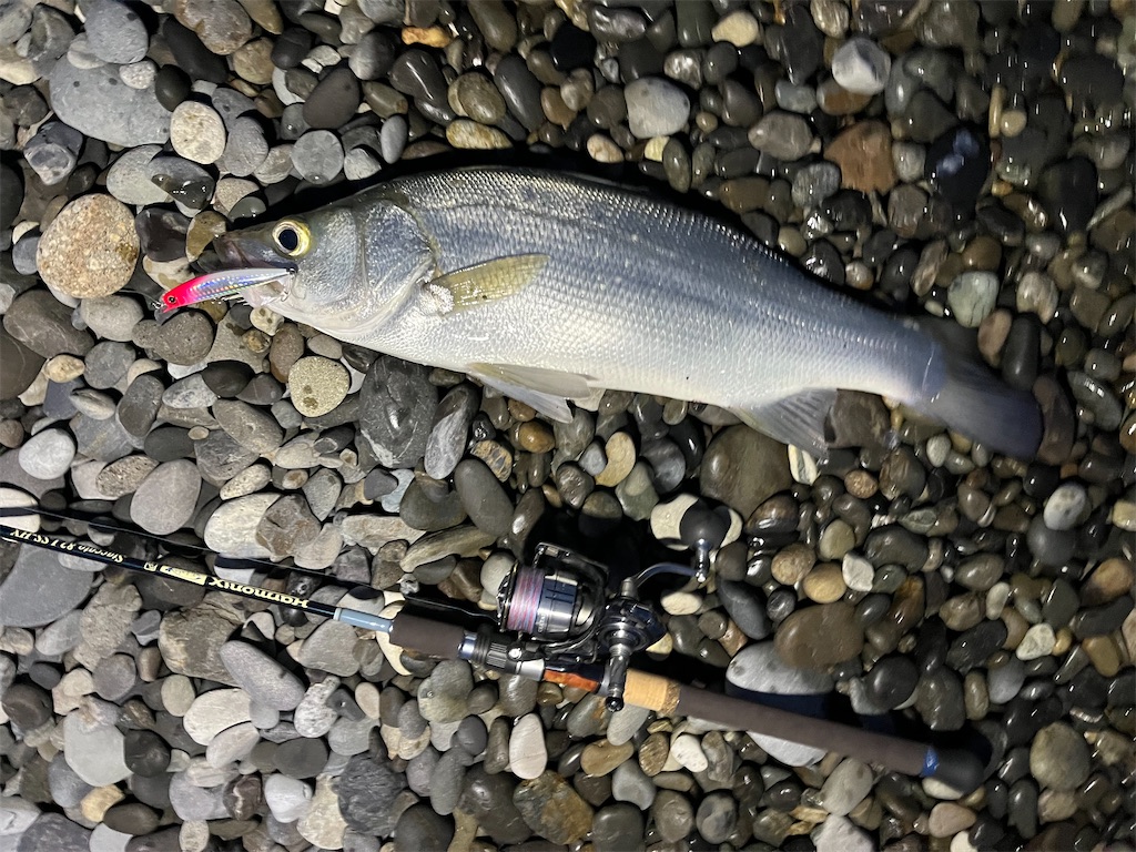 f:id:yasutsuchi2:20220507193635j:image