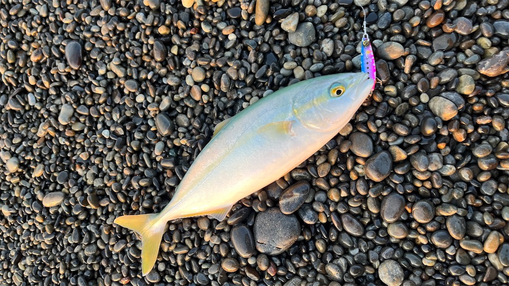 f:id:yasutsuchi2:20220520173903j:image