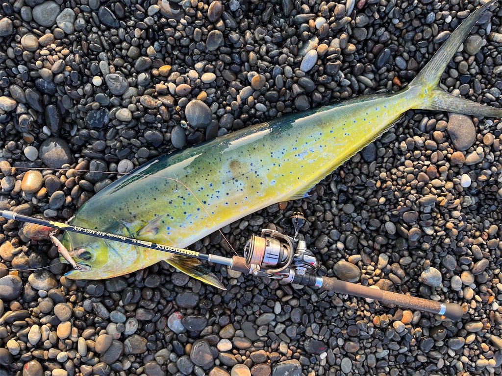 f:id:yasutsuchi2:20220605184512j:image