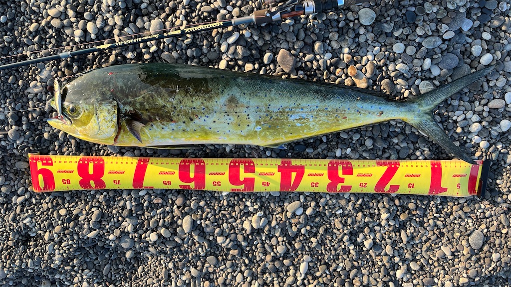 f:id:yasutsuchi2:20220605203557j:image