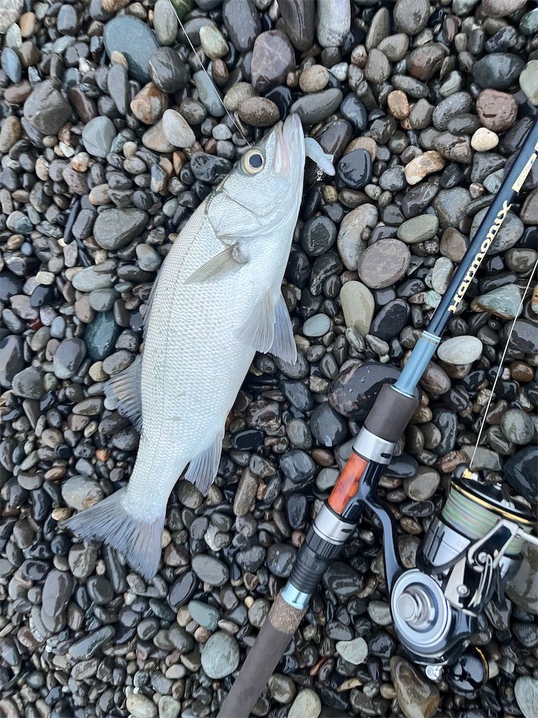 f:id:yasutsuchi2:20220613125233j:image f:id:yasutsuchi2:20220613125233j:image