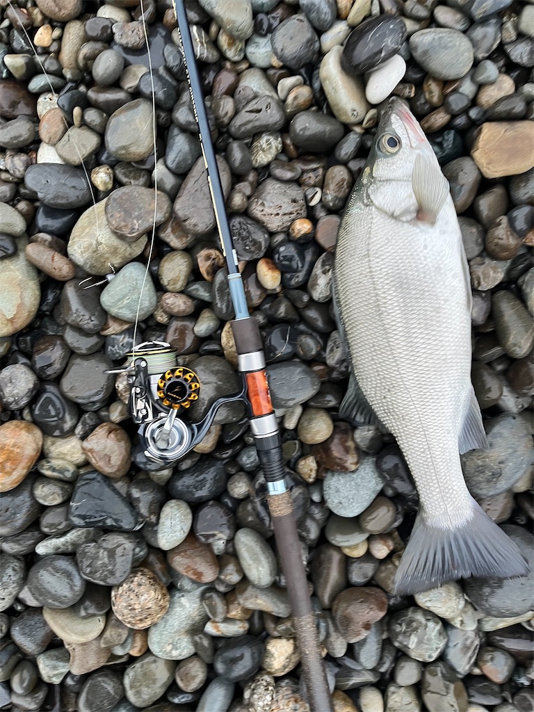 f:id:yasutsuchi2:20220613125443j:image f:id:yasutsuchi2:20220613125443j:image