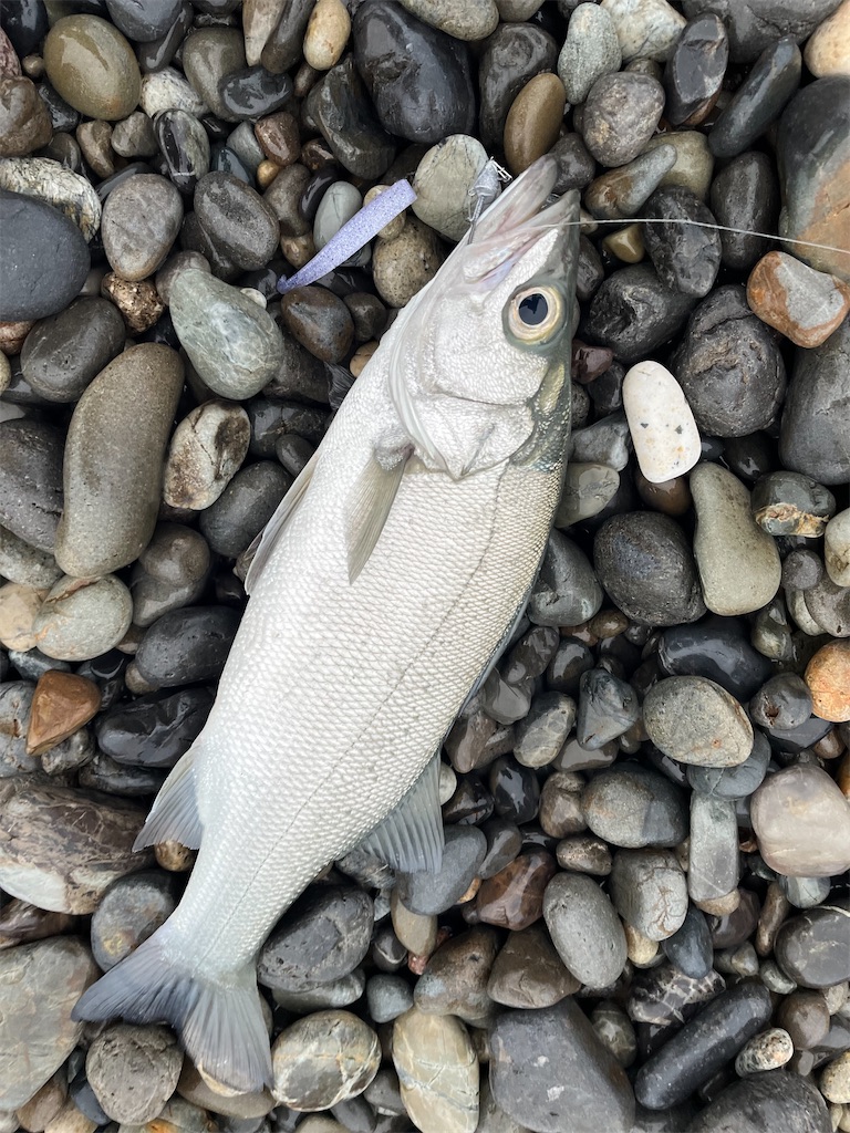 f:id:yasutsuchi2:20220613125502j:image f:id:yasutsuchi2:20220613125502j:image