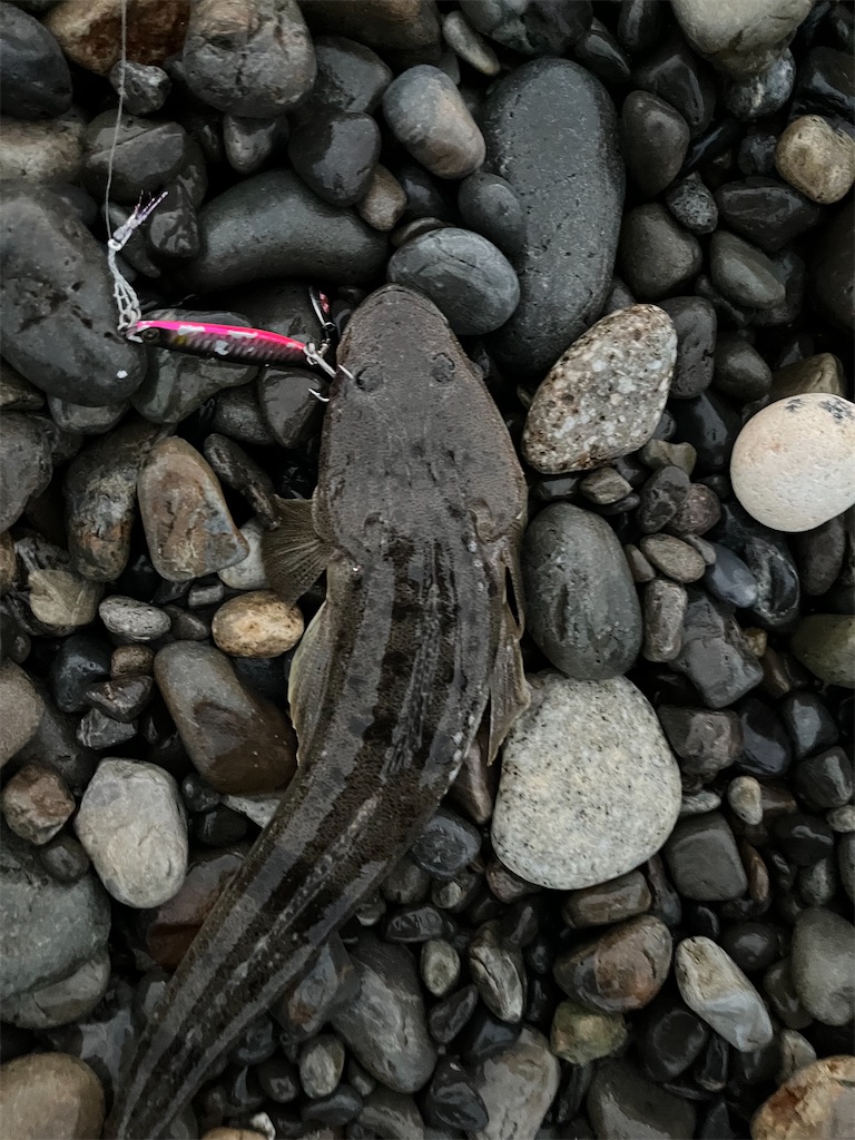 f:id:yasutsuchi2:20220715162814j:image f:id:yasutsuchi2:20220715162814j:image