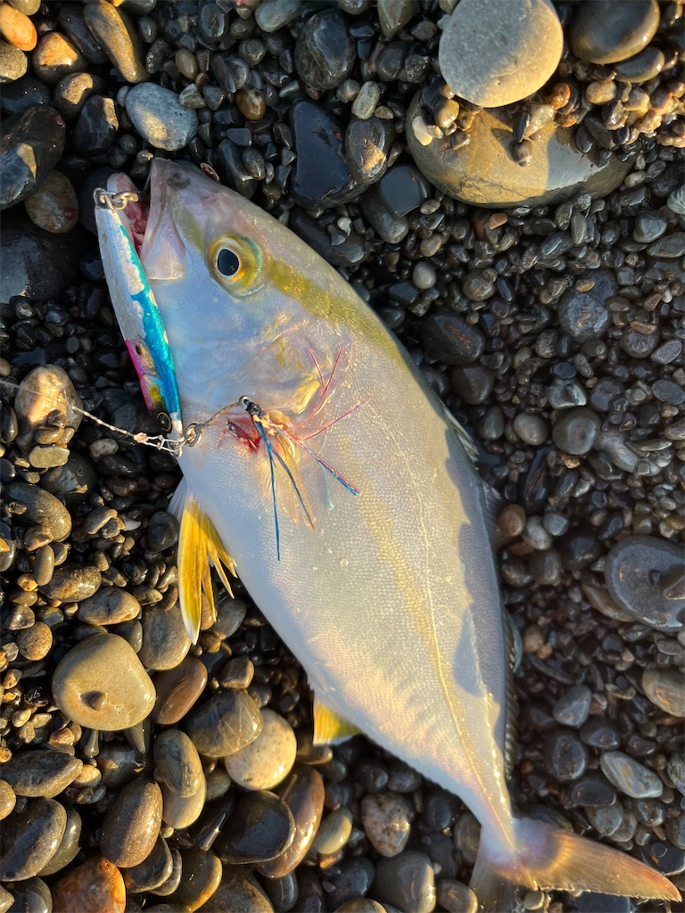 f:id:yasutsuchi2:20220813081701j:image