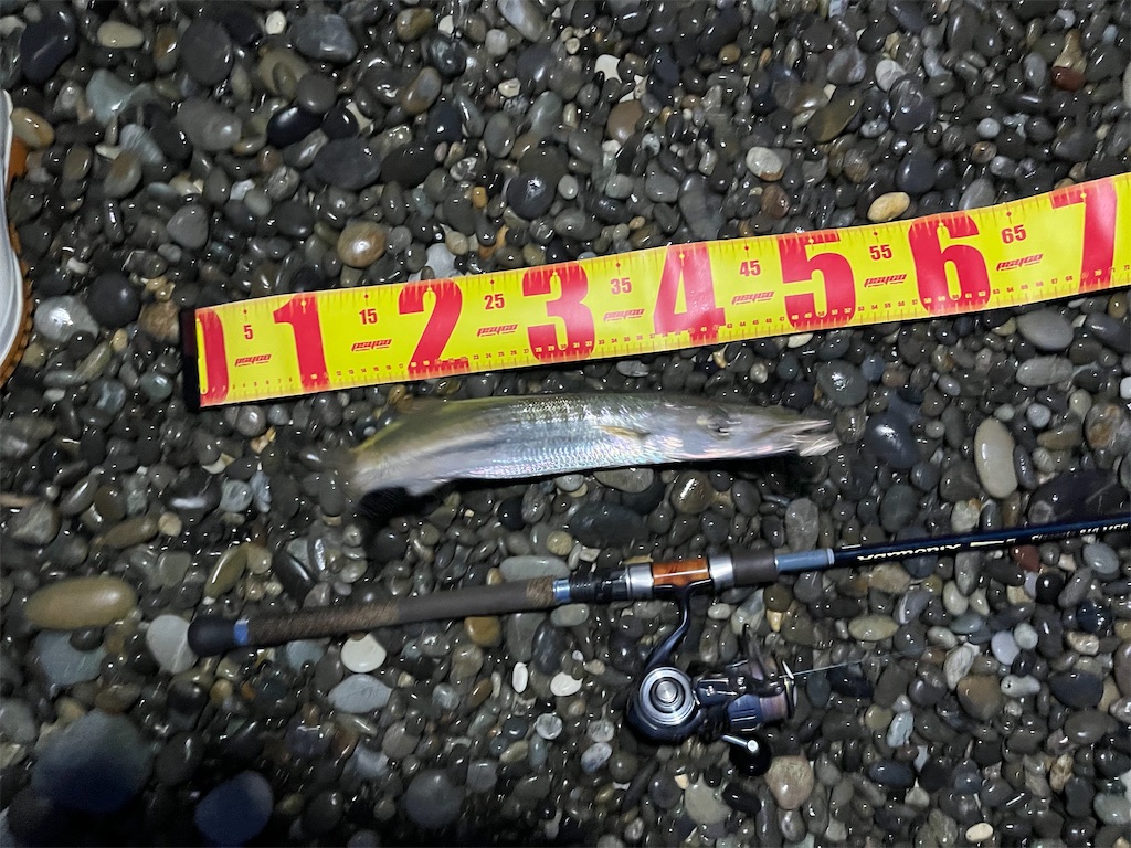 f:id:yasutsuchi2:20220813165214j:image