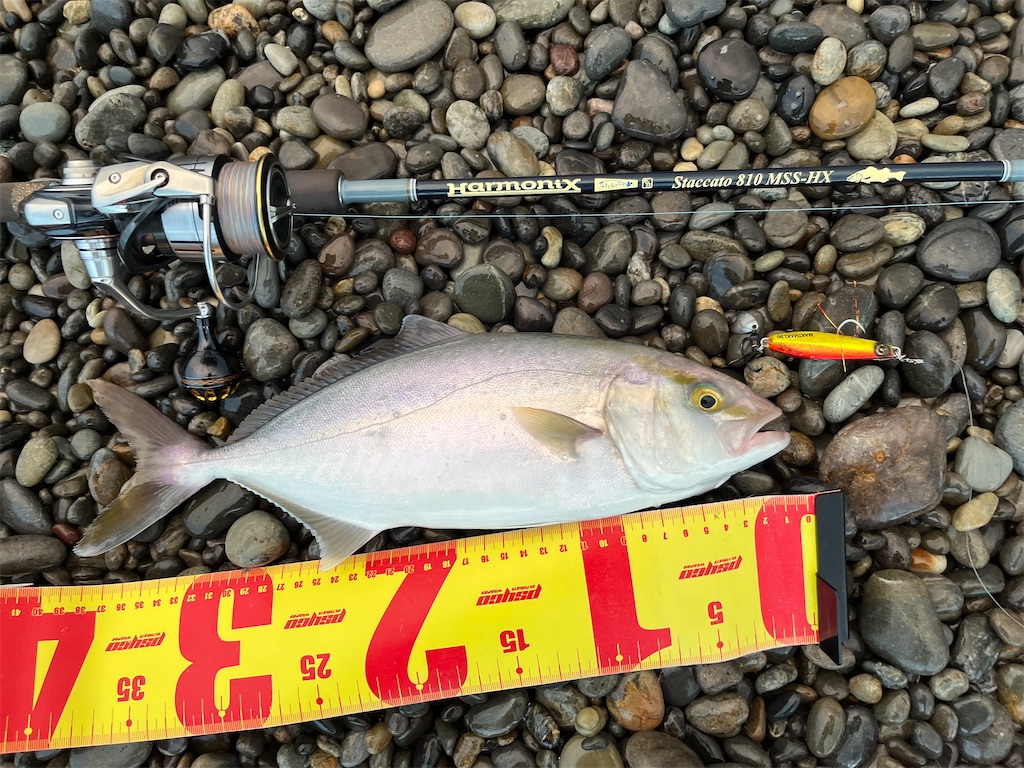 f:id:yasutsuchi2:20220813165218j:image