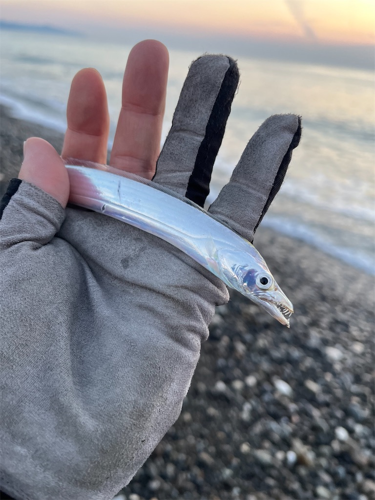 f:id:yasutsuchi2:20221206213916j:image