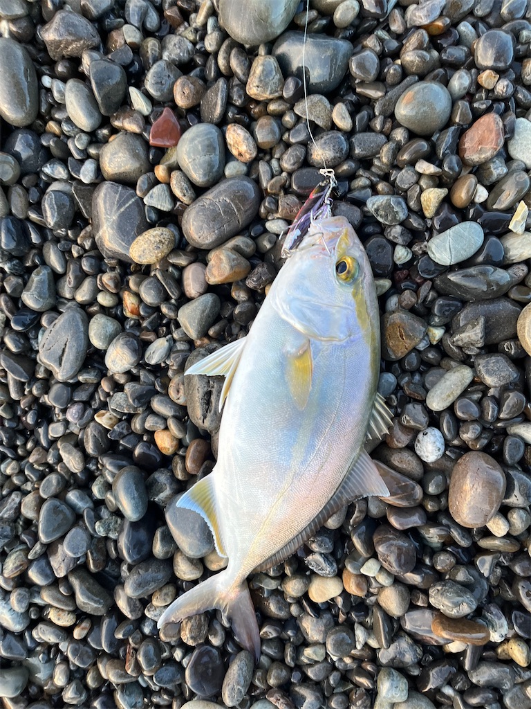 f:id:yasutsuchi2:20221206213920j:image