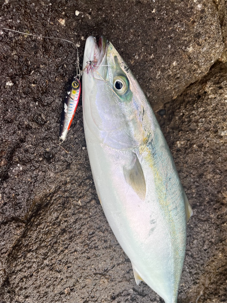 f:id:yasutsuchi2:20221206214109j:image