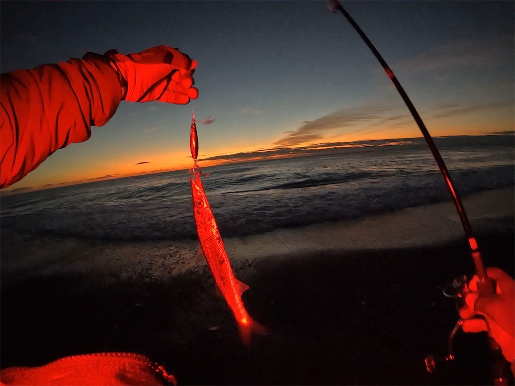 f:id:yasutsuchi2:20221206214442j:image