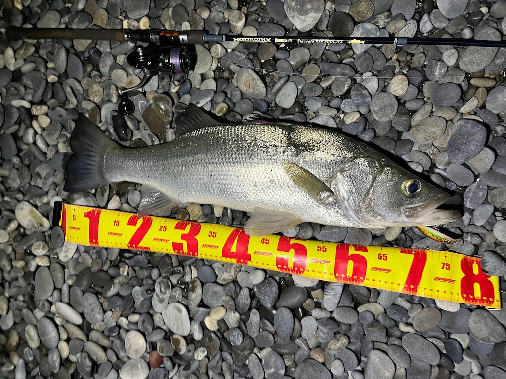 f:id:yasutsuchi2:20221206214522j:image