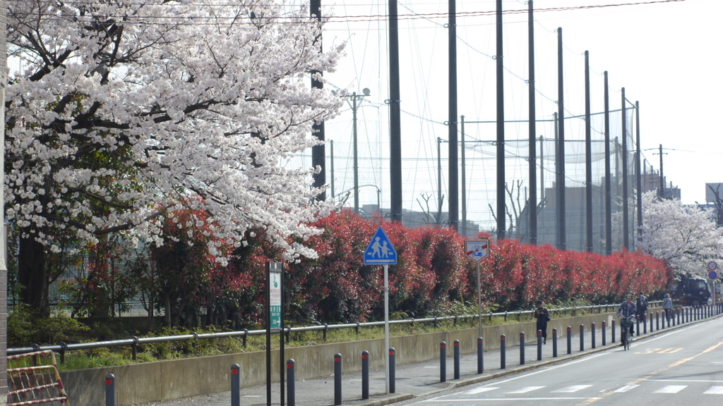 f:id:yasuud:20180330025714j:plain f:id:yasuud:20180330025714j:plain