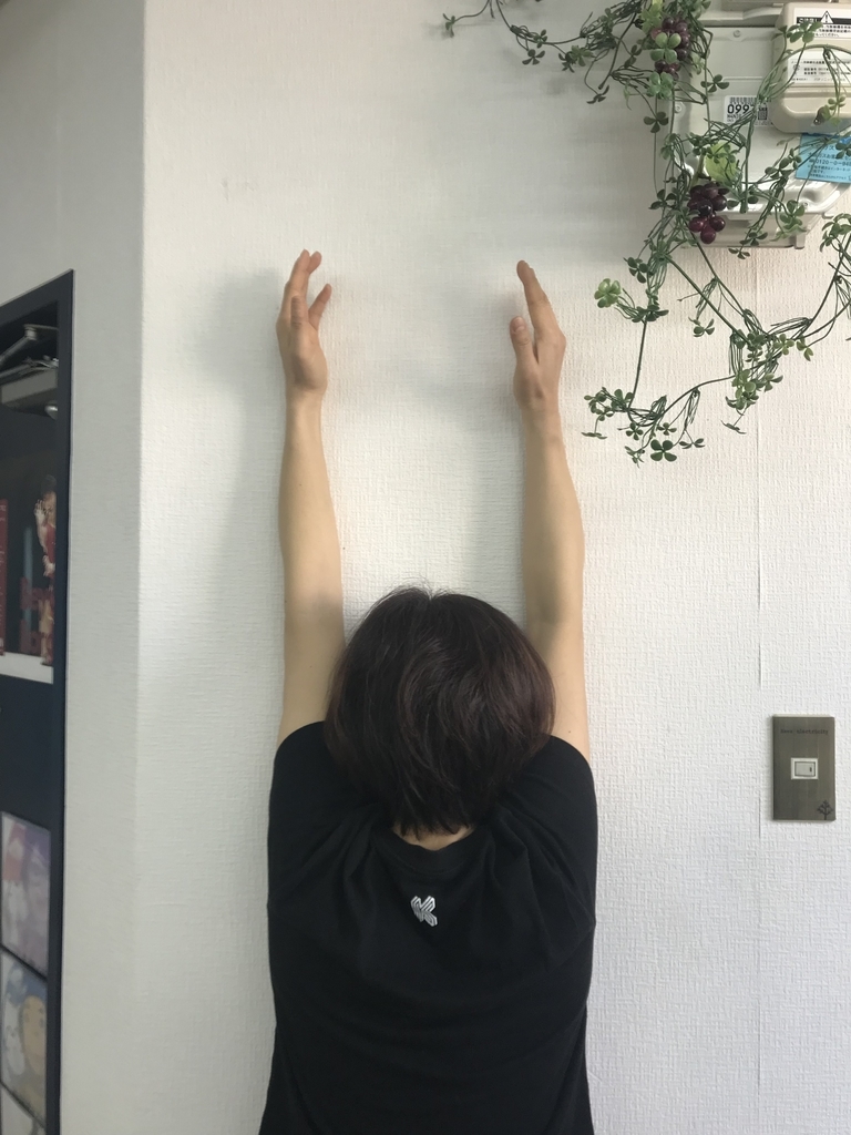 f:id:yasuyasi:20181225224250j:plain f:id:yasuyasi:20181225224250j:plain