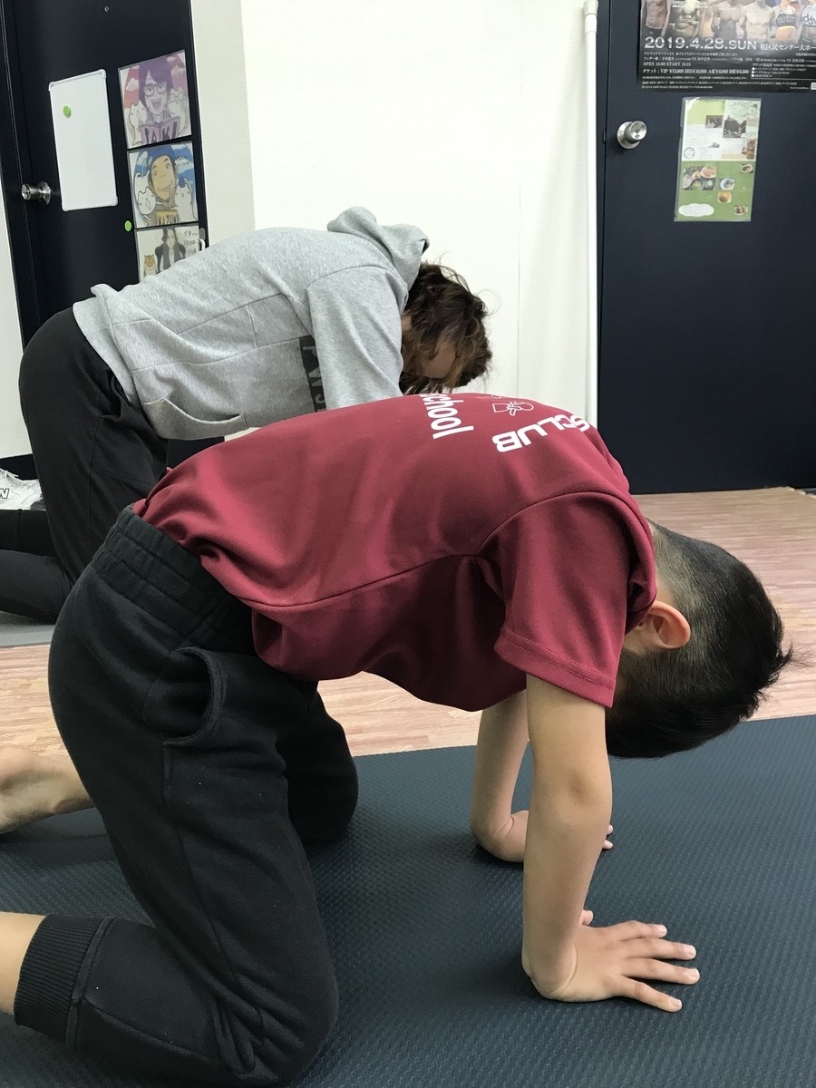 f:id:yasuyasi:20190414212335j:plain f:id:yasuyasi:20190414212335j:plain