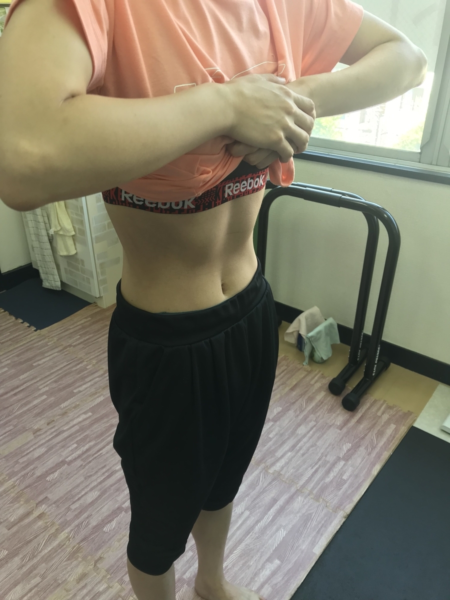 f:id:yasuyasi:20190811010639j:plain f:id:yasuyasi:20190811010639j:plain