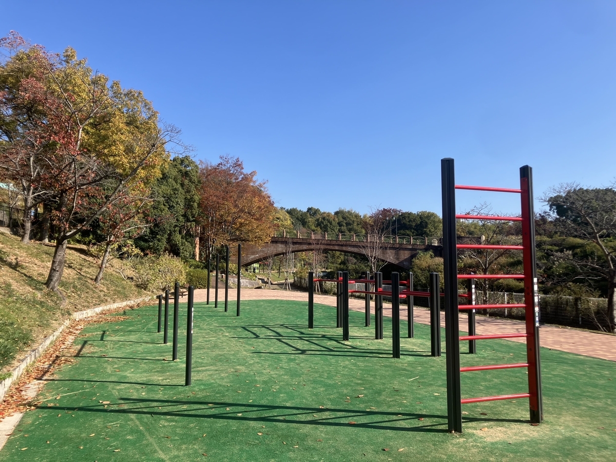 カリステニクスのトレーニングができる公園