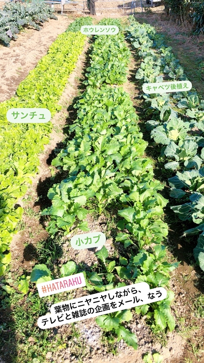 f:id:yasuyuki_yamaguchi:20201217065814j:plain