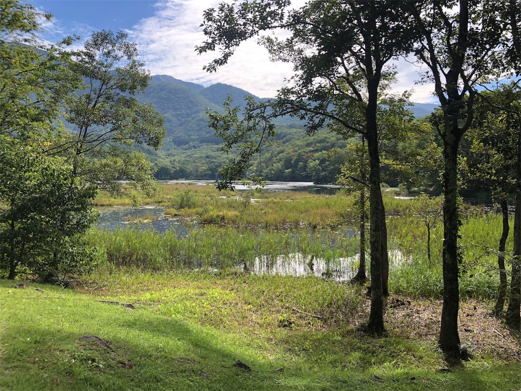 f:id:yasuzoo:20190923113857j:image