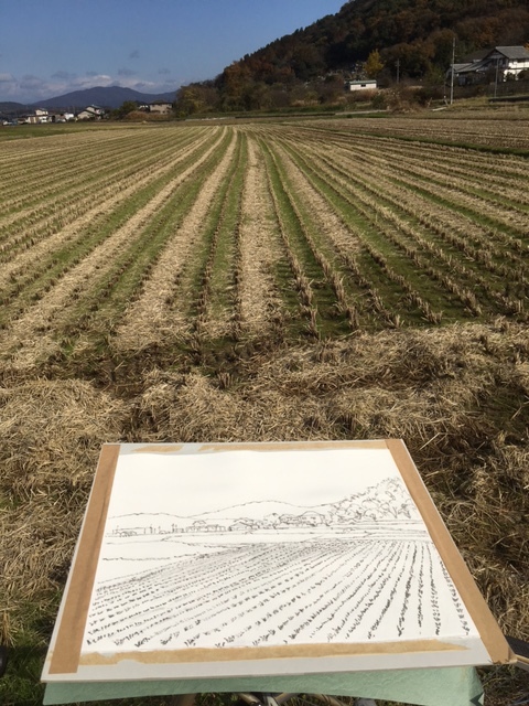 秋の田を 吹き渡る風 耐えて描く （岡山県岡山市北区 吉備路自転車道