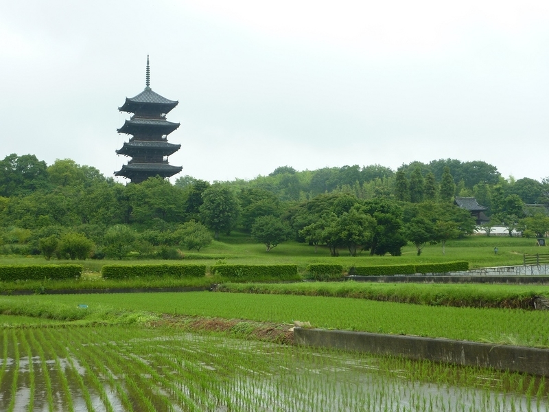 小雨の中、岡山県総社市 備中国分寺五重塔 をスケッチしました