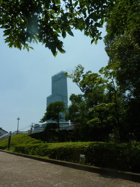 イメージ 2
