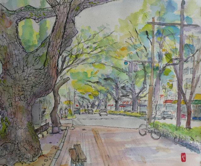 クスノキの 大木うねる 追手筋（おうてすじ） （高知県高知市 高知城