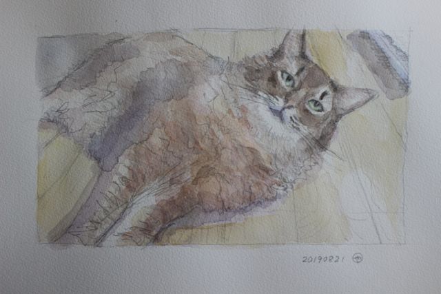 f:id:yaswatercolor:20190825074559j:plain