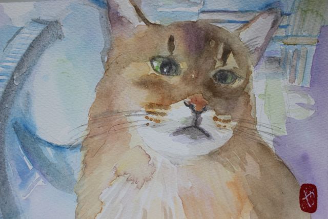 f:id:yaswatercolor:20191127052648j:plain f:id:yaswatercolor:20191127052648j:plain