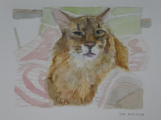 f:id:yaswatercolor:20210126154933j:plain