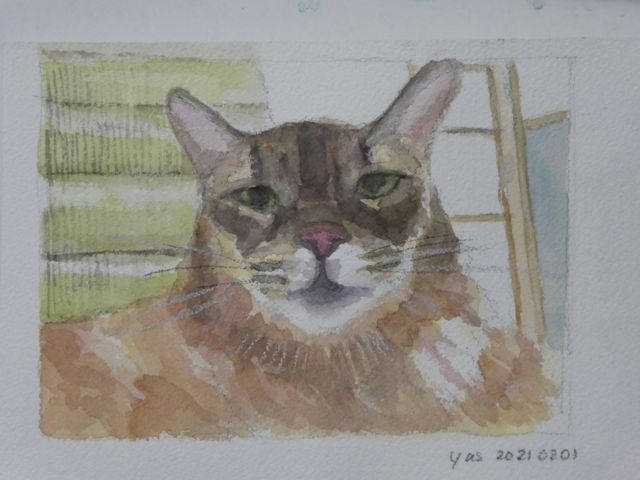 機嫌のいい猫のスケッチ - わたしの水彩スケッチと読書の旅