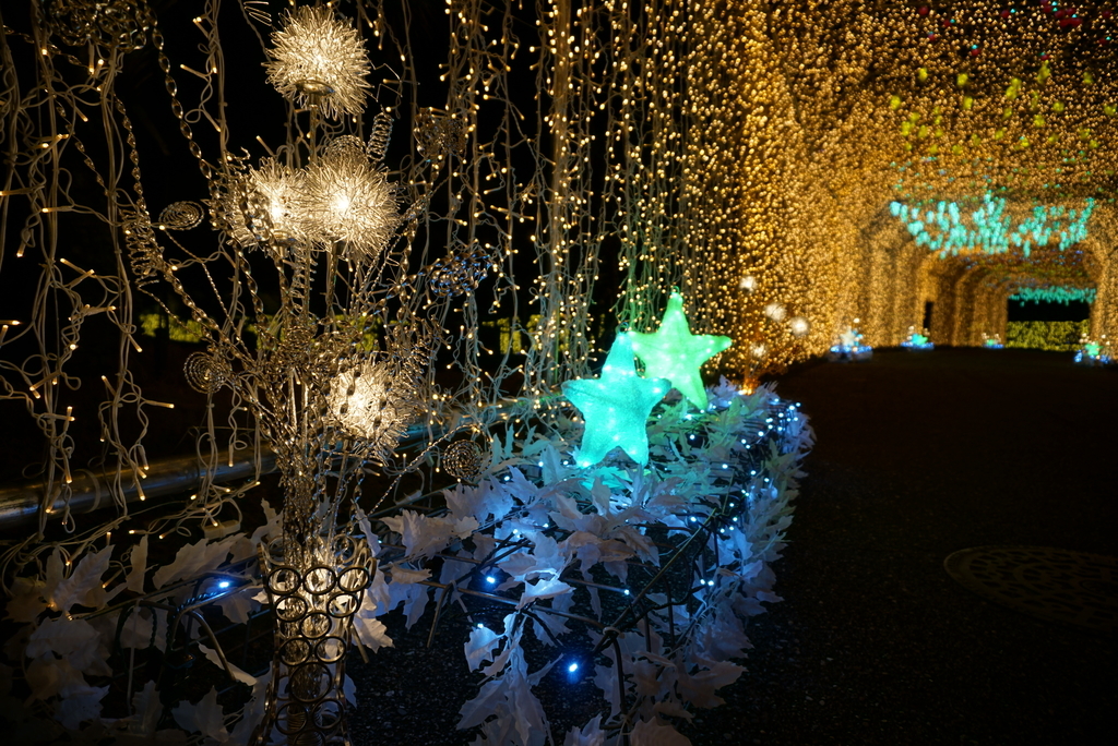f:id:yatablog:20190102102737j:plain