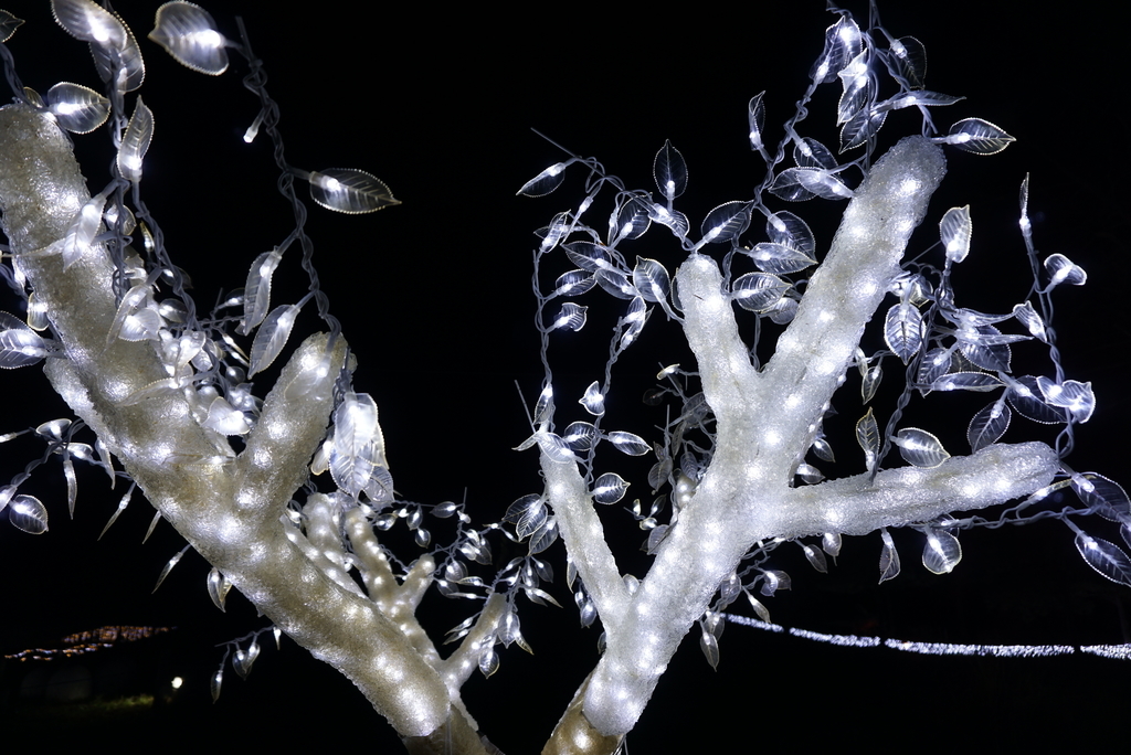 f:id:yatablog:20190102103455j:plain