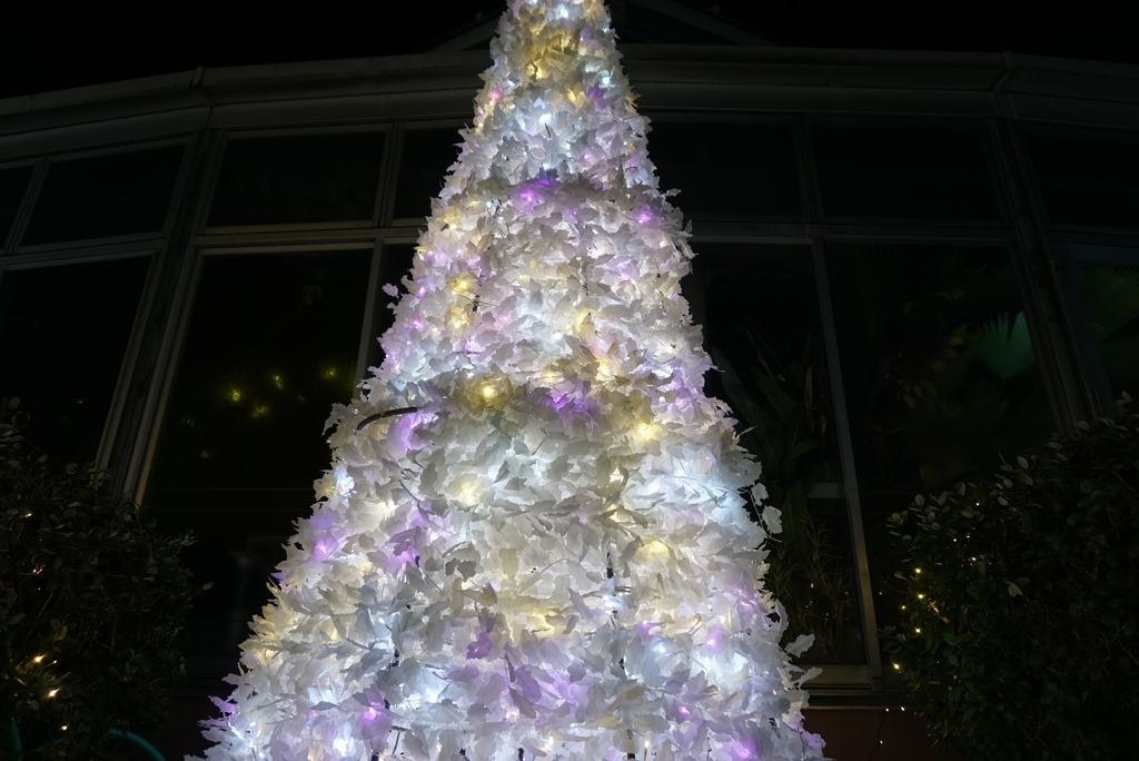 f:id:yatablog:20190102104353j:plain
