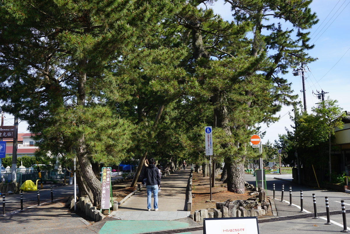 f:id:yatablog:20190429130244j:plain