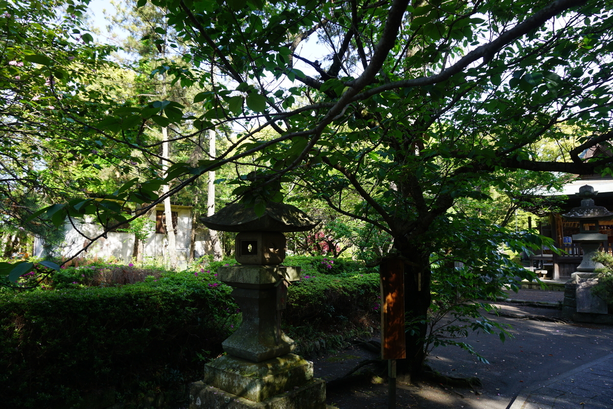 f:id:yatablog:20190429131153j:plain