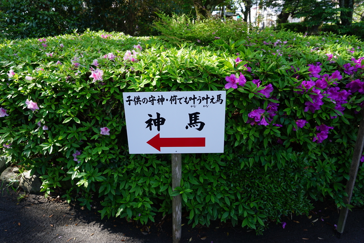 f:id:yatablog:20190429131233j:plain