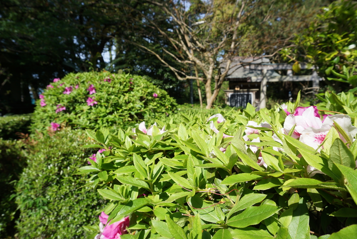 f:id:yatablog:20190429131952j:plain