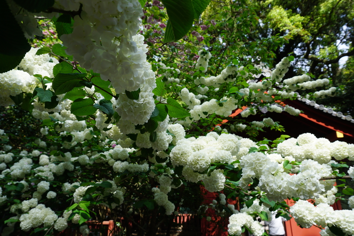 f:id:yatablog:20190504100458j:plain f:id:yatablog:20190504100458j:plain