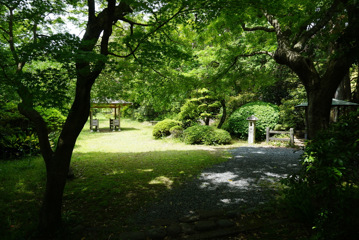 f:id:yatablog:20190609084356j:plain