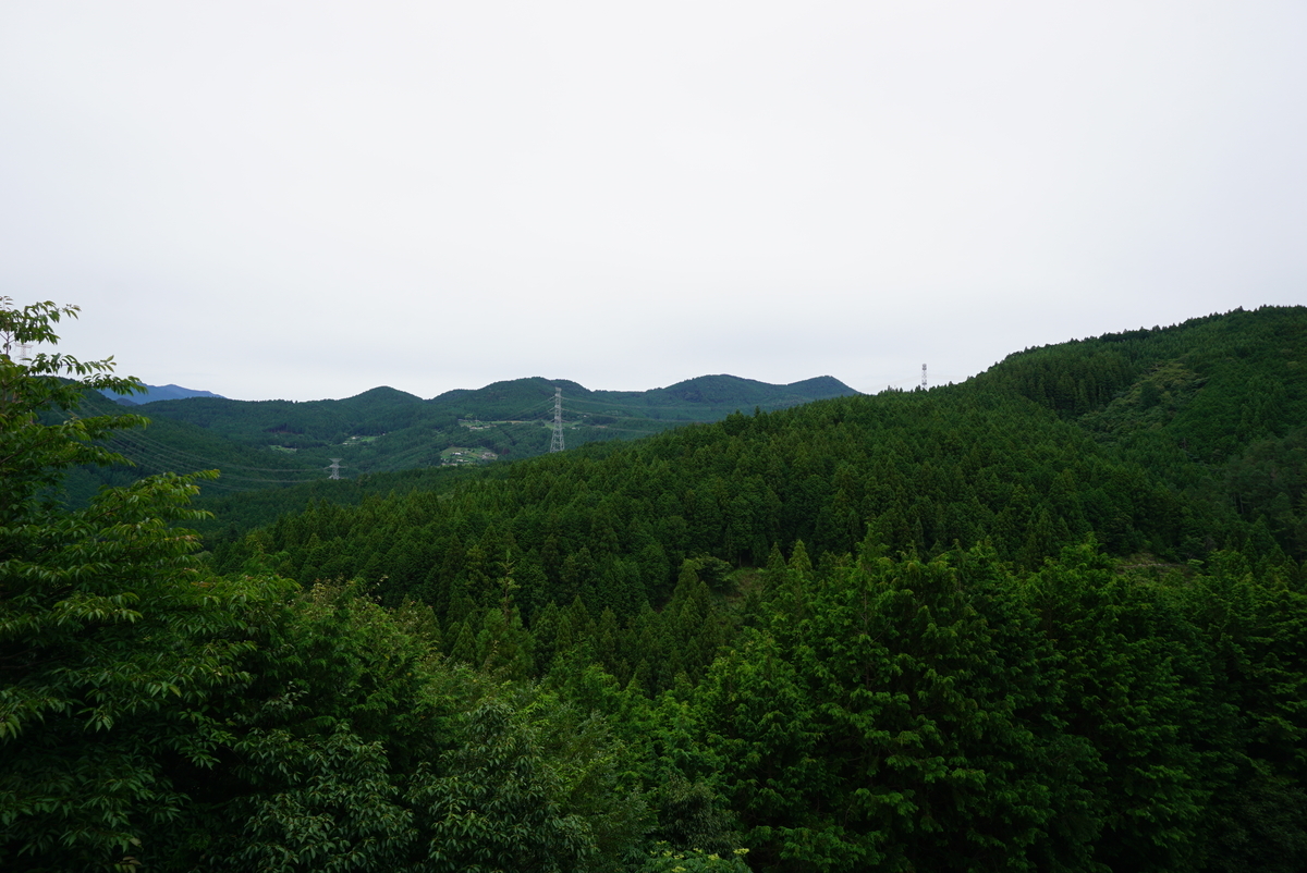 f:id:yatablog:20190721093341j:plain f:id:yatablog:20190721093341j:plain