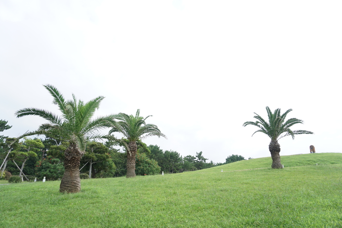 f:id:yatablog:20190804075809j:plain
