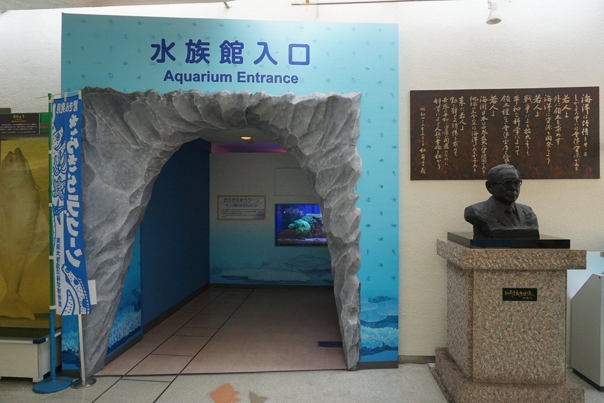 f:id:yatablog:20190805193457j:plain f:id:yatablog:20190805193457j:plain